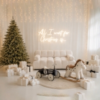 BUENO CHRISTMAS /  Sala Cyklorama